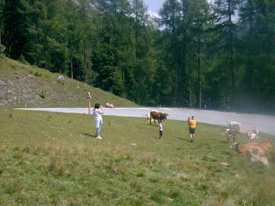 PICT0084