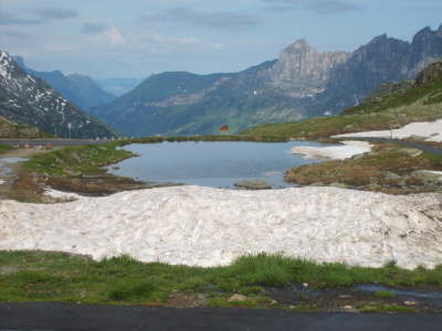 SD536976